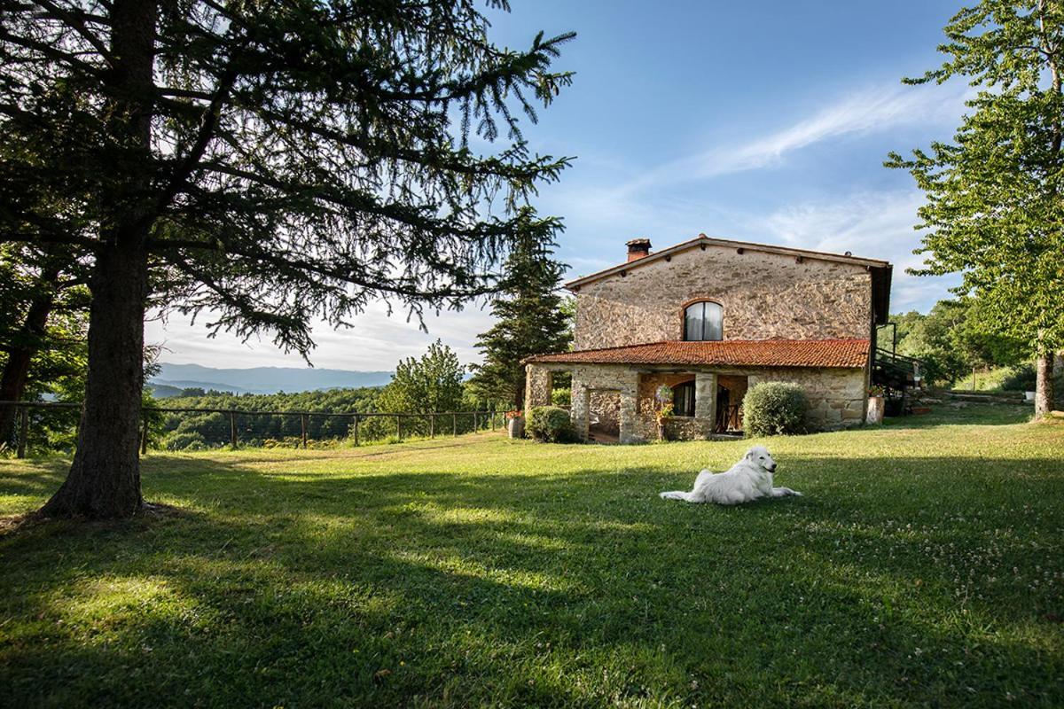 Piancasalemia Apartment Londa Exterior photo